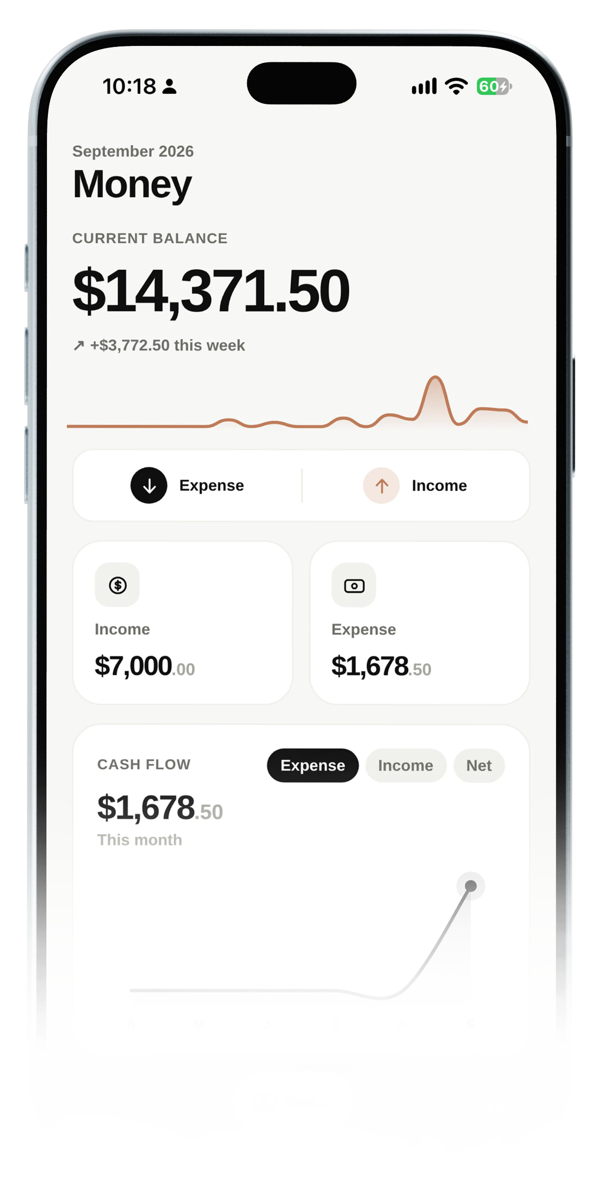 The Money screen: the balance, the week's cash flow, income and expenses.